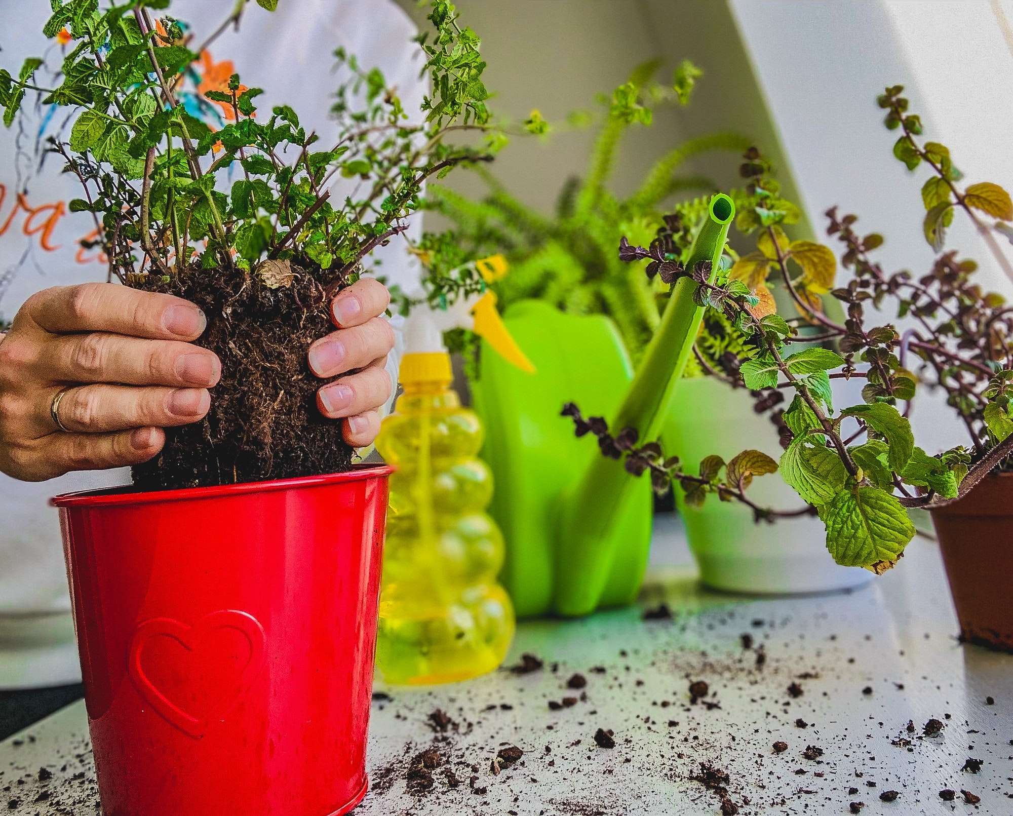 Home gardening